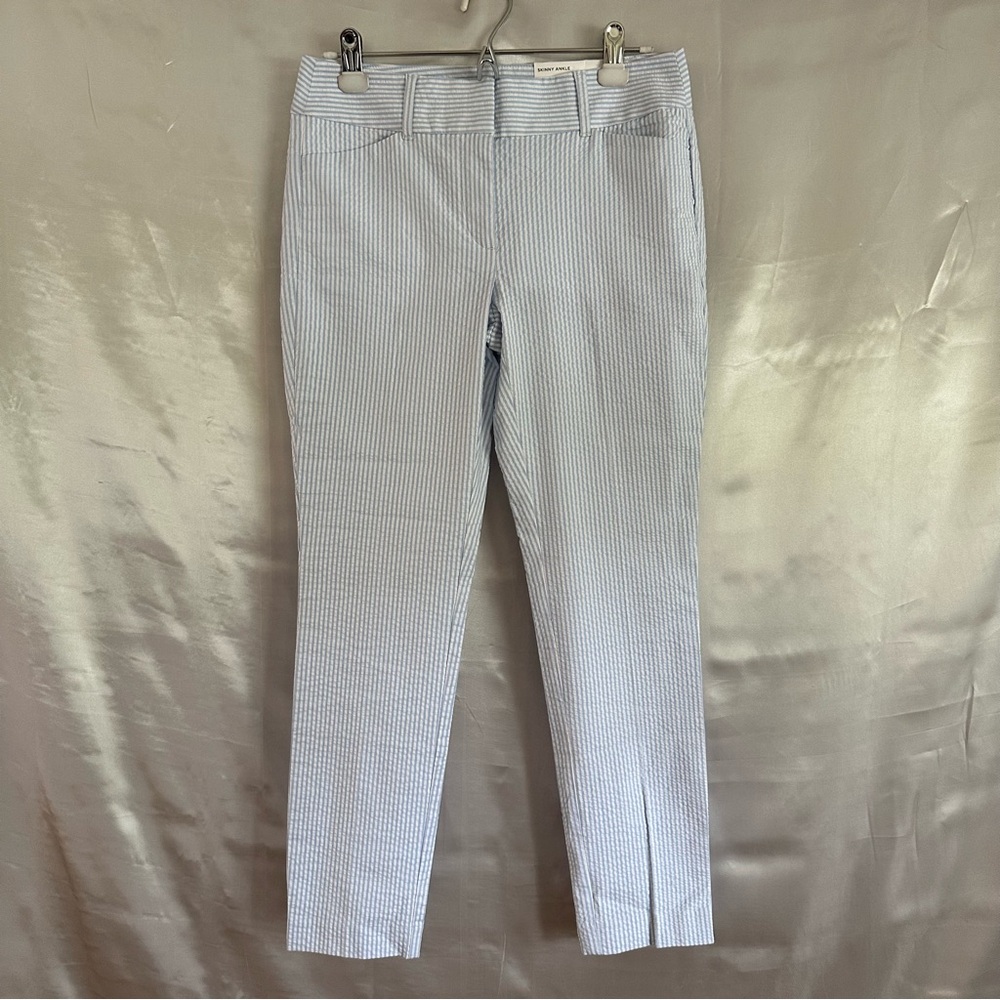 LOFT Outlet Women's 2 Pants Baby Blue & White Stripe Skinny Ankle